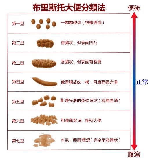 布里斯托表